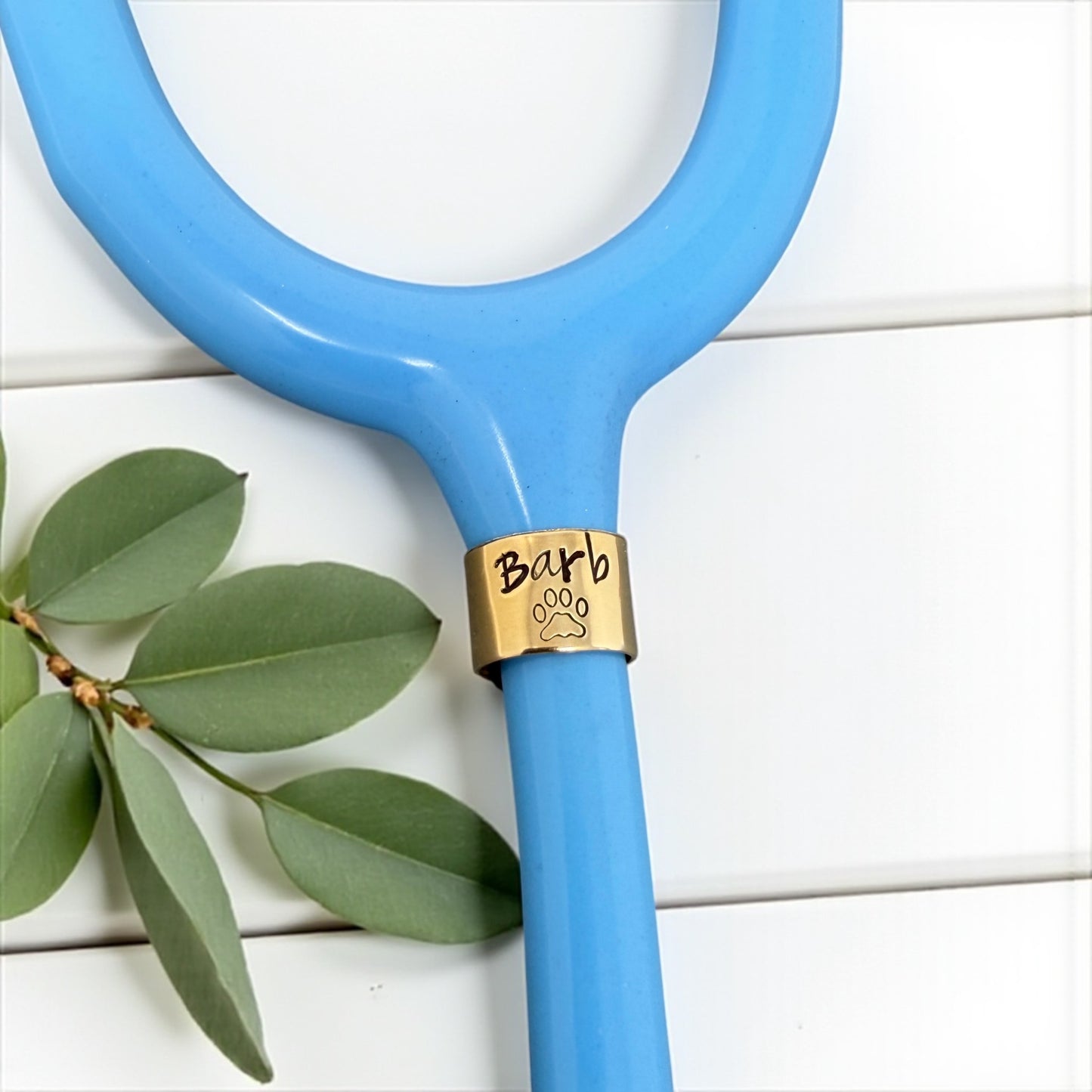 Paw Print Stethoscope ID Tag