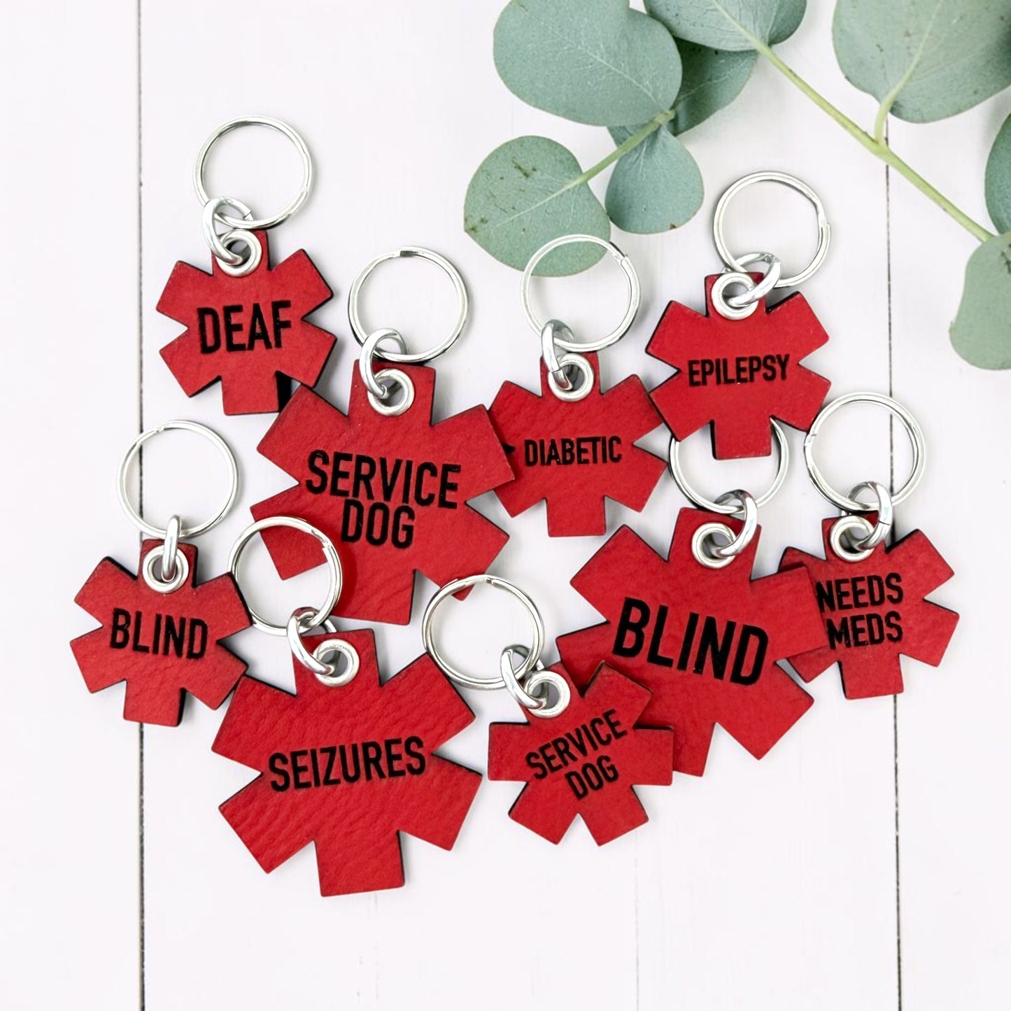 Red Leather Medical Alert Pet ID Tag
