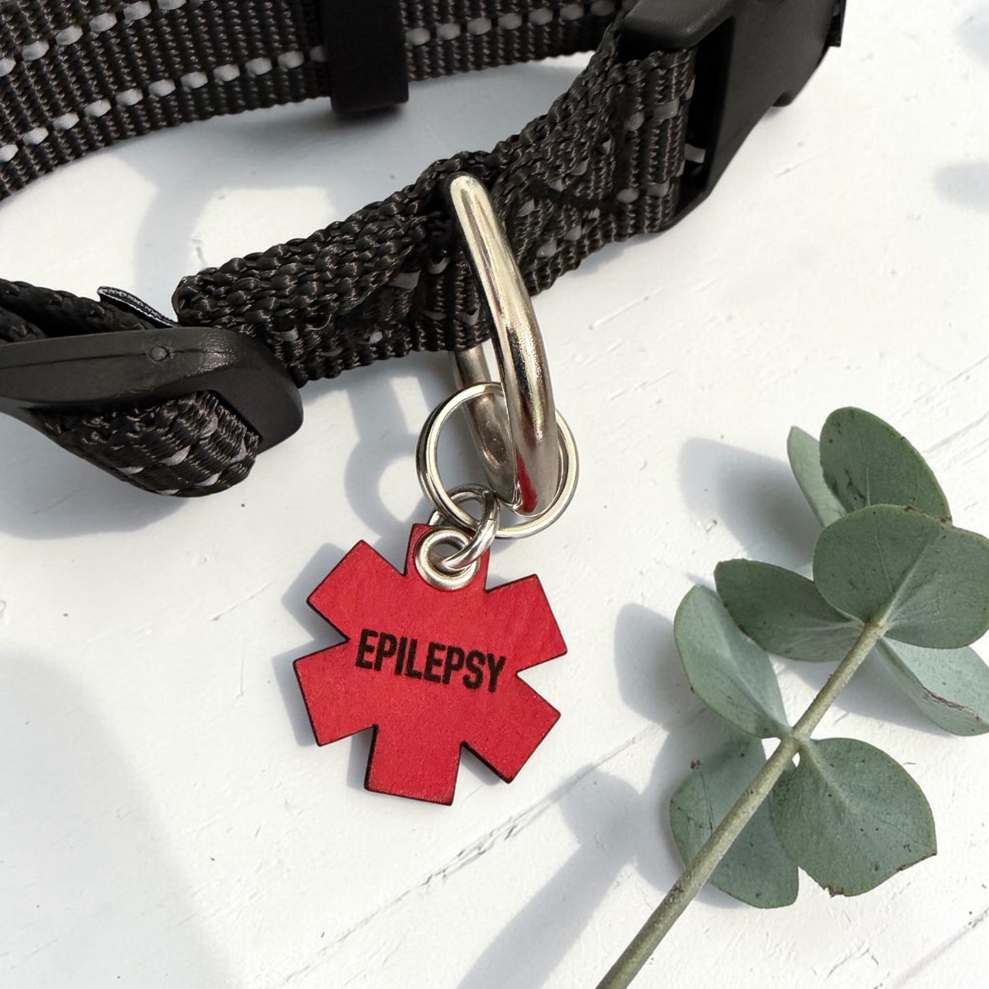 Red Leather Medical Alert Pet ID Tag