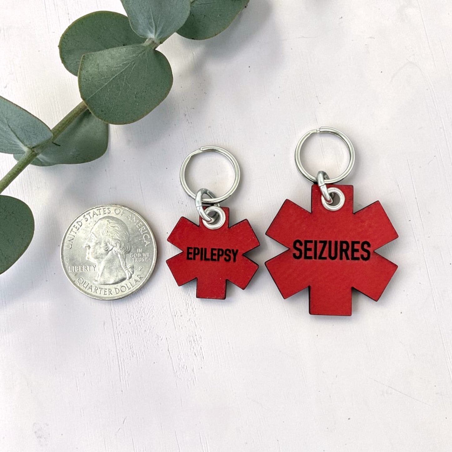 Red Leather Medical Alert Pet ID Tag