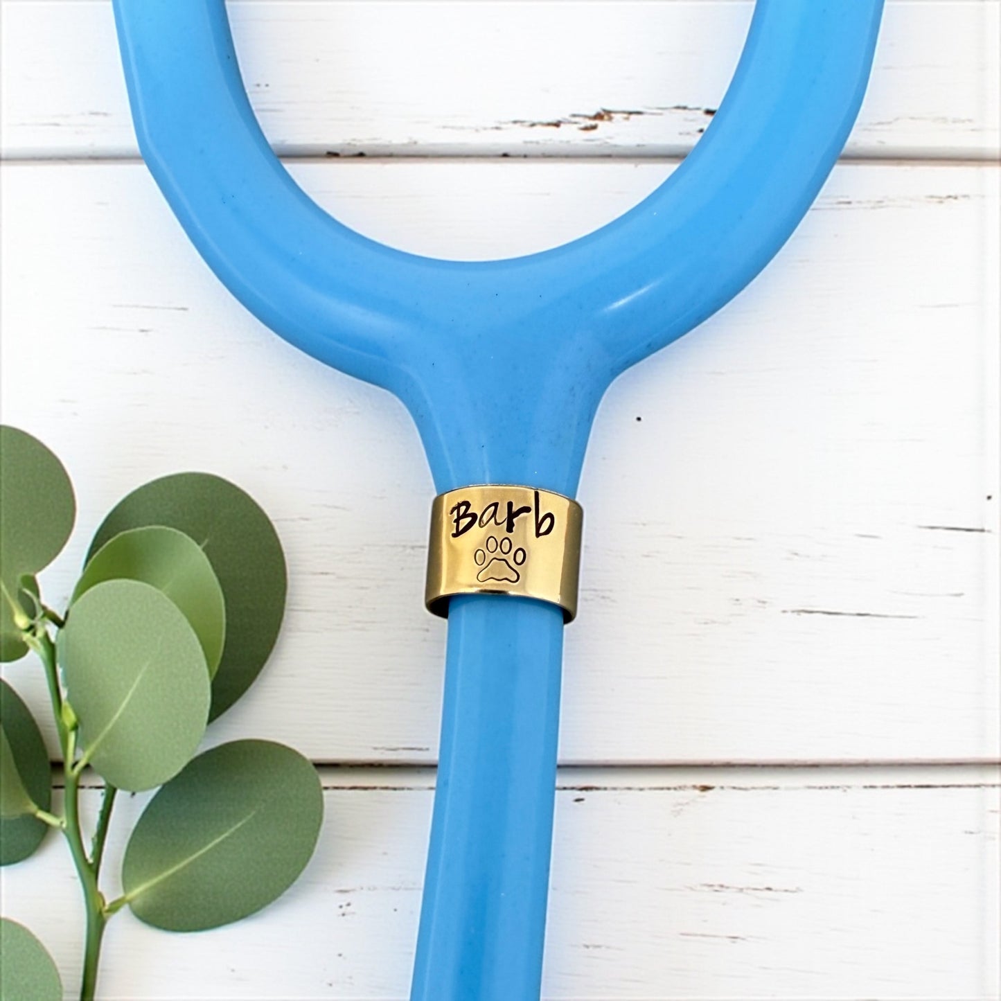 Paw Print Stethoscope ID Tag