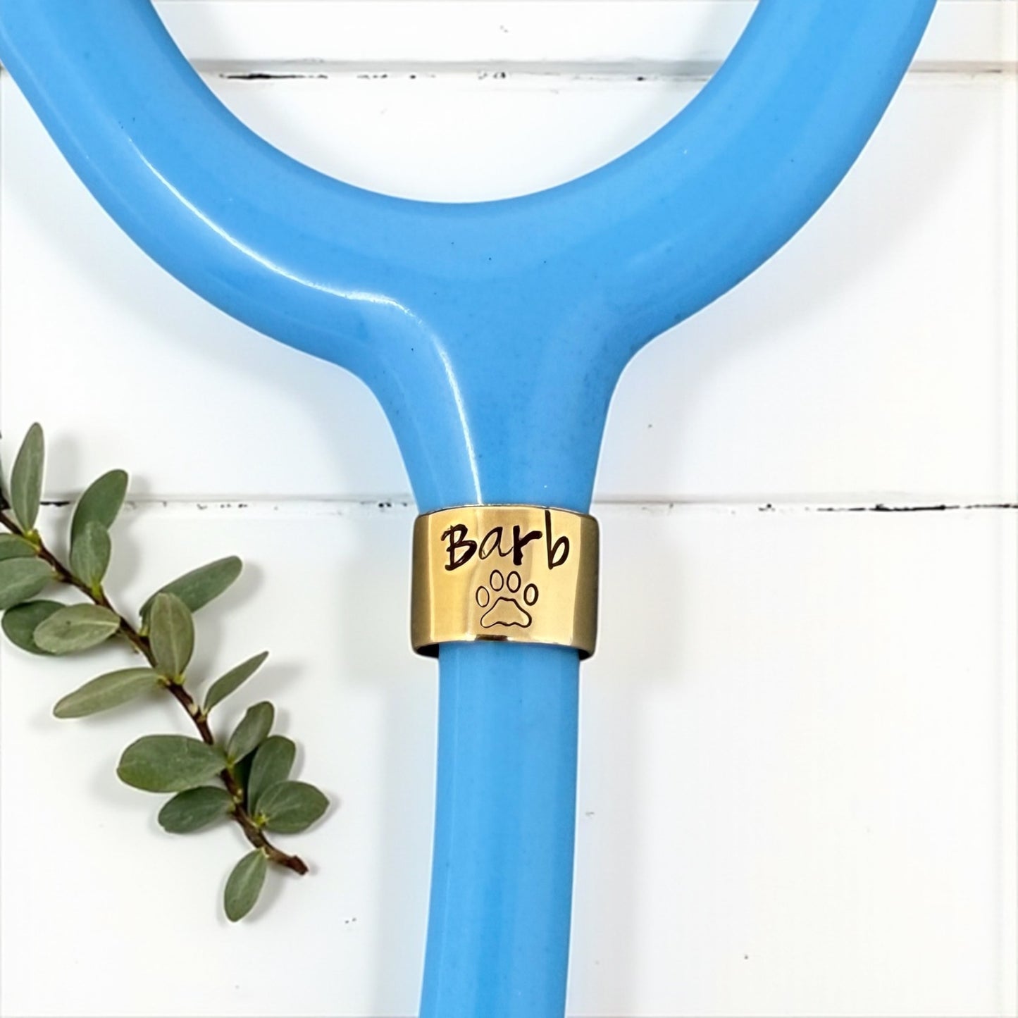 Paw Print Stethoscope ID Tag