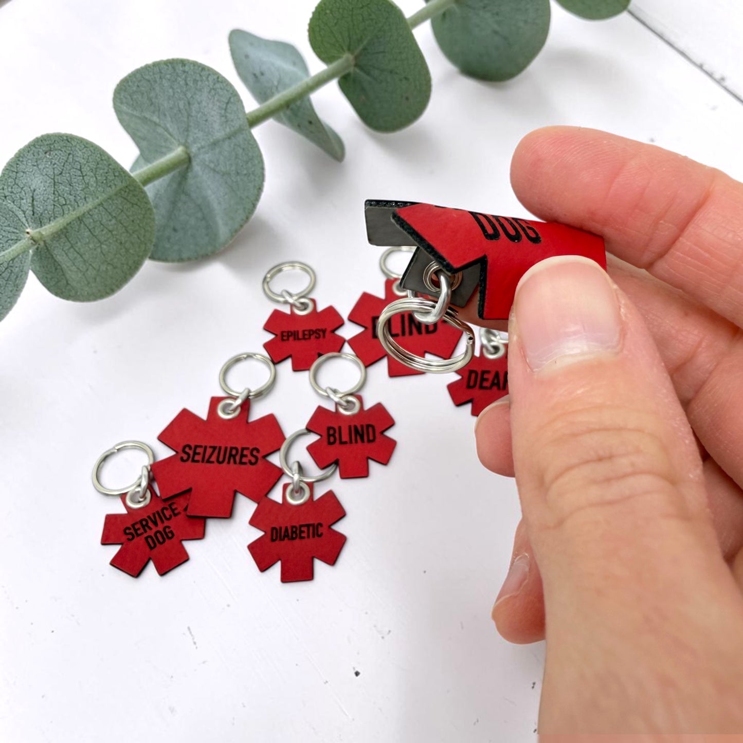 Red Leather Medical Alert Pet ID Tag