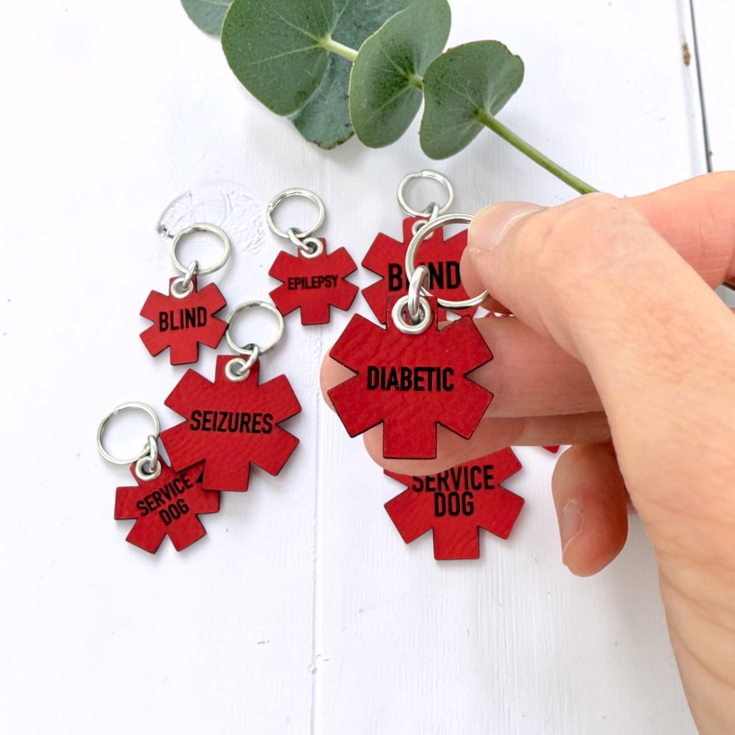 Red Leather Medical Alert Pet ID Tag